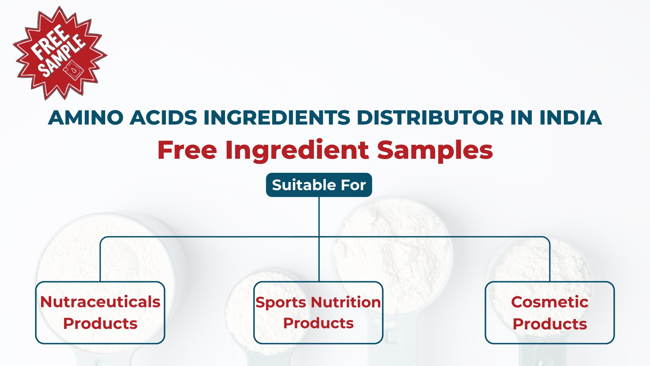Amino acids ingredients distributor in India.